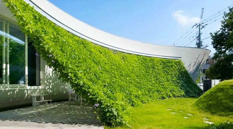 Cách chống nóng trong nhà hiệu quả 