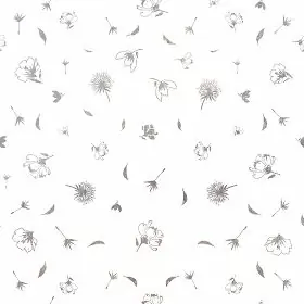 Ánh kim cẩm chướng