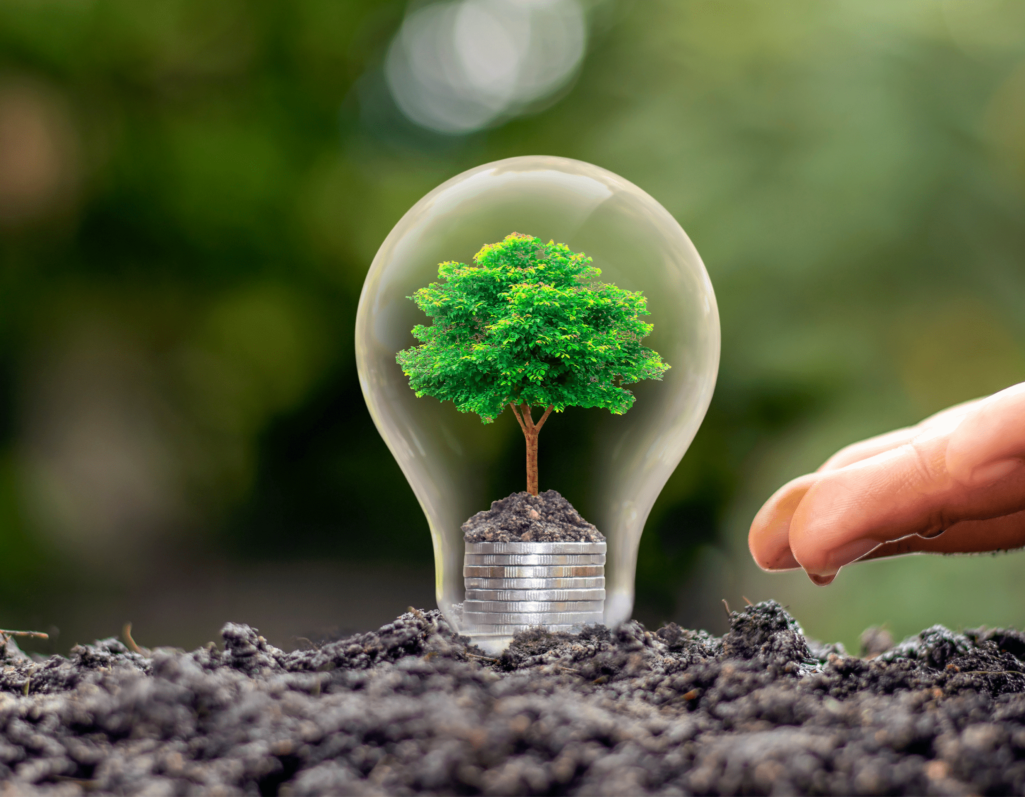 Các tiêu chuẩn và chứng nhận công trình xanh giúp chủ đầu tư có cơ sở đánh giá hiệu quả sử dụng năng lượng của dự án. (Nguồn: Internet) 