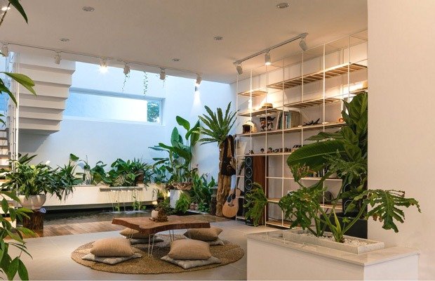 mau-nha-dep-theo-phong-cach-tropical