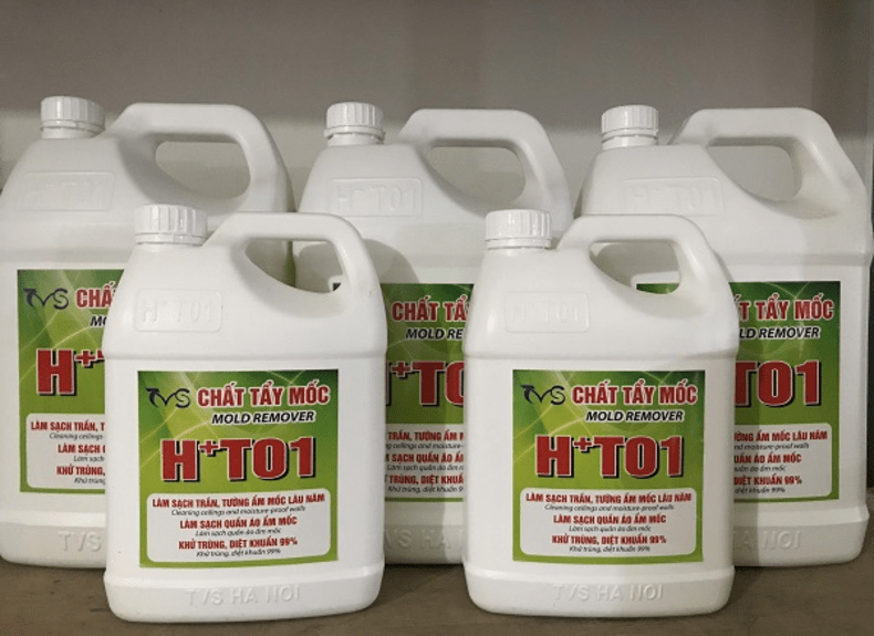 Cách xử lý tường ẩm mốc nhanh chóng