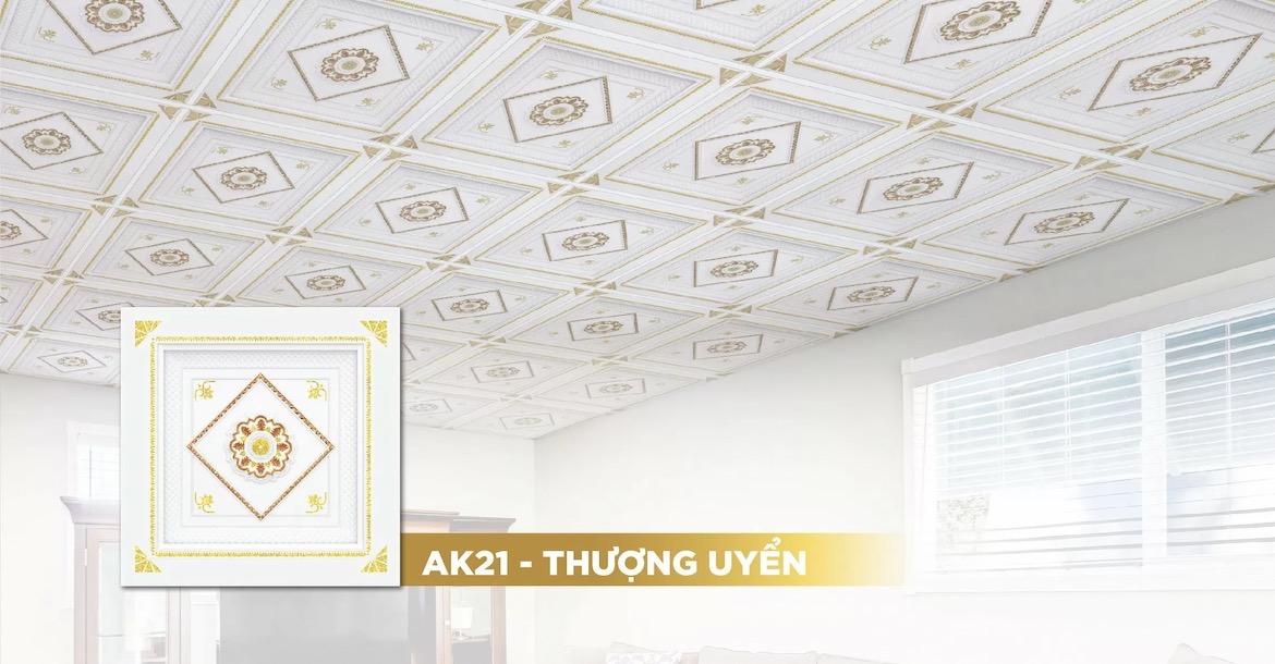 Gia chủ mệnh Kim hợp các màu trắng, vàng, ánh kim hoặc xám, giúp không gian sống hài hòa và thẩm mỹ