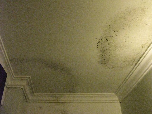 Sửa trần thạch cao nhanh chóng | Vĩnh Tường