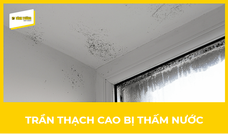 Trần thạch cao bị thấm nước