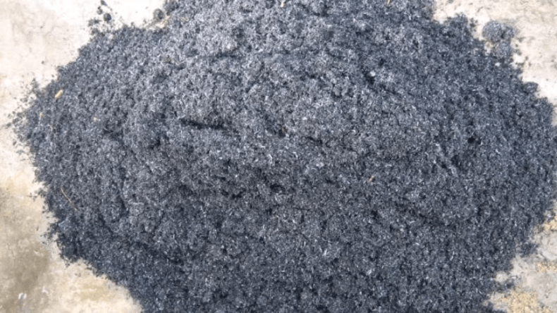 Cách xử lý tường bị ẩm mốc tiết kiệm chi phí