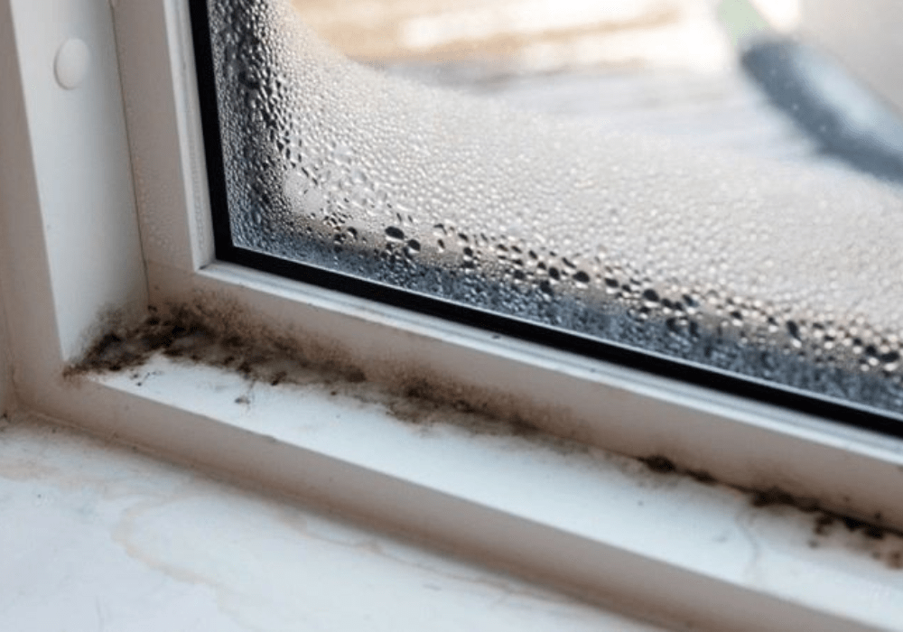 Trời nồm làm nhà bị ẩm thấp 