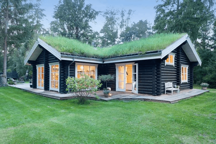 Trồng cây xanh hoặc cây leo trên mái tôn để chống nóng