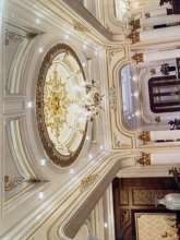 Trịnh Vũ Thế Anh