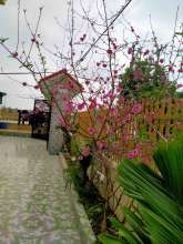 Bùi Văn Cần